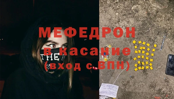 прущие грибы Шенкурск
