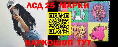 сатива Апшеронск