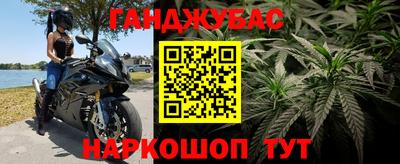 стаф Аргун