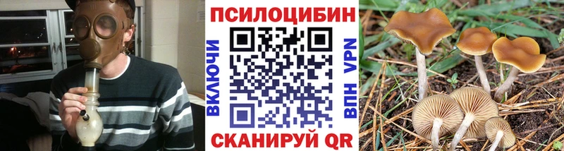 Галлюциногенные грибы прущие грибы  Асино 