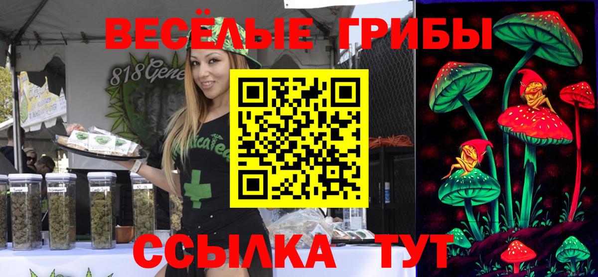 Галлюциногенные грибы Psilocybine cubensis Асино