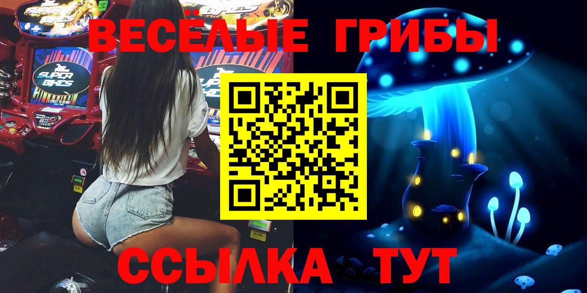 Асино  Псилоцибиновые грибы MAGIC MUSHROOMS  Вход с VPN  Псилоцибиновые грибы MAGIC MUSHROOMS 