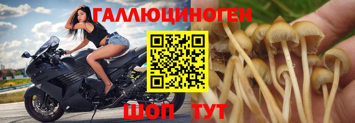 Галлюциногенные грибы GOLDEN TEACHER Асино